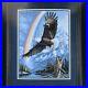1991-Dimensions-Cross-Stitch-Kit-Gold-Collection-35020-The-Promise-Bald-Eagle-01-jc