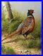 5D-Diamond-Painting-Pheasant-in-the-Weeds-Kit-01-xu