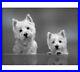5D-Diamond-Painting-Westie-Dogs-Rhinestone-Cross-Stitch-Embroidery-Home-Decors-01-hovb