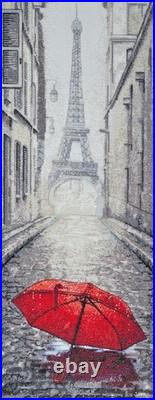 Counted Cross Stitch Kit Farby Paryzha