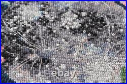 Counted Cross Stitch Kit Moonlit sekrety Creative Embroidery Gift