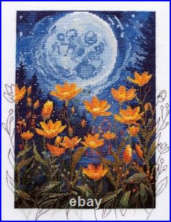 Counted Cross Stitch Kit Night kontrast DIY Creative Gift Project