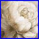 Counted-Cross-Stitch-Kit-Peony-Flowers-DIY-Letistitch-01-zhm