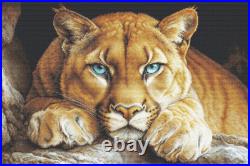 Cross Stitch Kit Gold the Wild Spirit, BU5081, Counted Cross Stitch Kit for Ad