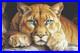 Cross-Stitch-Kit-Gold-the-Wild-Spirit-BU5081-Counted-Cross-Stitch-Kit-for-Ad-01-xi