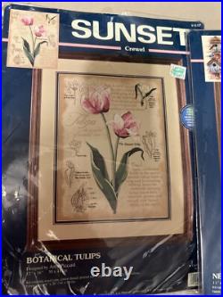 Cross Stitch Lot of 6 Kits NEW! Bucilla Sunset Elsa Williams Lot Bonus