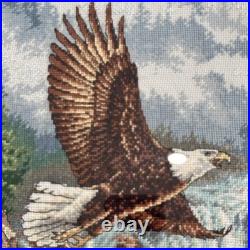 DIMENSIONS Gold Collection Eagle's Majesty Counted Cross Stitch Finished framed