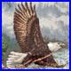 DIMENSIONS-Gold-Collection-Eagle-s-Majesty-Counted-Cross-Stitch-Finished-framed-01-xn