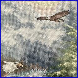 DIMENSIONS Gold Collection Eagle's Majesty Counted Cross Stitch Finished framed
