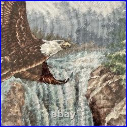 DIMENSIONS Gold Collection Eagle's Majesty Counted Cross Stitch Finished framed