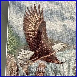 DIMENSIONS Gold Collection Eagle's Majesty Counted Cross Stitch Finished framed