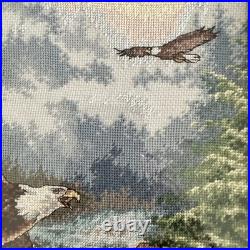 DIMENSIONS Gold Collection Eagle's Majesty Counted Cross Stitch Finished framed