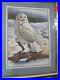 Dimensions-Stately-Picture-White-Snowy-Owl-Kit-3861-Sealed-Michael-Adams-01-bceu