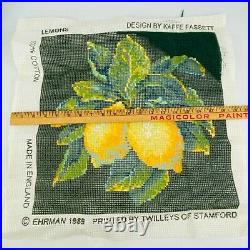 Ehrman Lemons Tapestry Needlepoint Kit Canvas Kaffe Fassett Incomplete Started