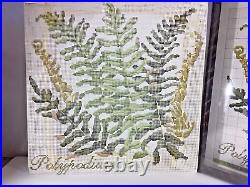 Elizabeth Bradley English Tapestry Kit The Shade Garden Polypodium
