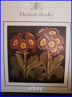 Elizabeth Bradley Needlepoint Tapestry Kit AURICULA 16 x 16 Black Background