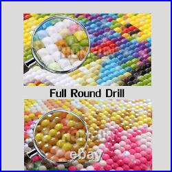 Full Square Round Diamond Painting Embroidery Cross Stitch 5D DIY Home Decor