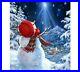 Full-Square-Round-Drill-5D-DIY-Diamond-Painting-Christmas-Snowman-Embroidery-Art-01-uqi