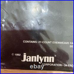Janlynn Teresa Wentzler DAY 11x16 Cross Stitch Kit Angel Fantasy 112-66 Sealed