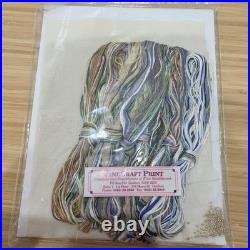 Janlynn Teresa Wentzler DAY 11x16 Cross Stitch Kit Angel Fantasy 112-66 Sealed