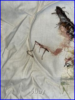 Mirabilia The Cottage Garden Fair Partially Completed Pattern Cross Stitch Kit