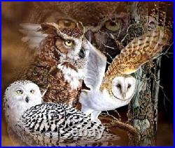 Owl DIY Diamond Painting Animal Design Embroidery House Portrait Decors Displays