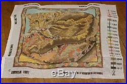 Rare Ehrman Kaffe Fassett Carpet Cat Tapestry Needlepoint Kit Retired