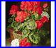 Red-Flowers-Diamond-Painting-Design-Embroidery-Portrait-Display-House-Decoration-01-kv
