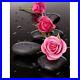 Roses-Pink-Diamond-Painting-Stone-And-Water-Design-Embroidery-House-Wall-Display-01-th