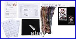 Still Life Flowers Cross Stitch Kit 18 Count Aida Black DMC Threads Included