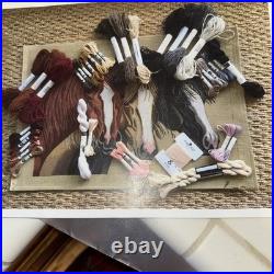 Susan Roberts hand painted canvas number three blaze horses kit