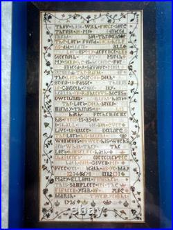 The Scarlet Letter- The Mary Elliot Reproduction Sampler Kit
