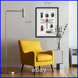 Thea Gouverneur Cross Stitch Kit Insects Counted Aida 14 Embroidery DMC Supplies